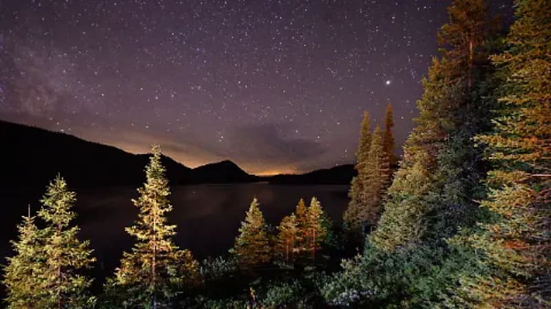 Canada's Reforestation Plan Could Capture 19.4 Gigatons CO2 - Image 2