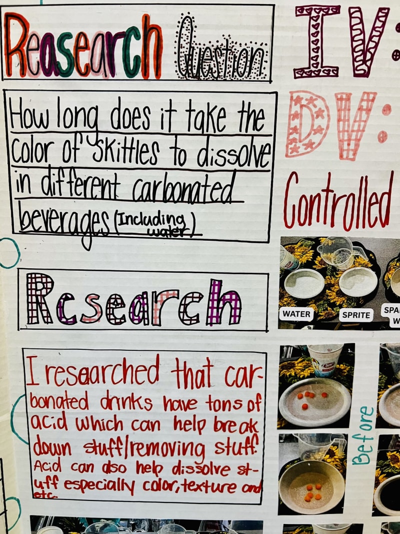1,600 Alexandria Students Turn Curiosity Into Science Projects - Image 5