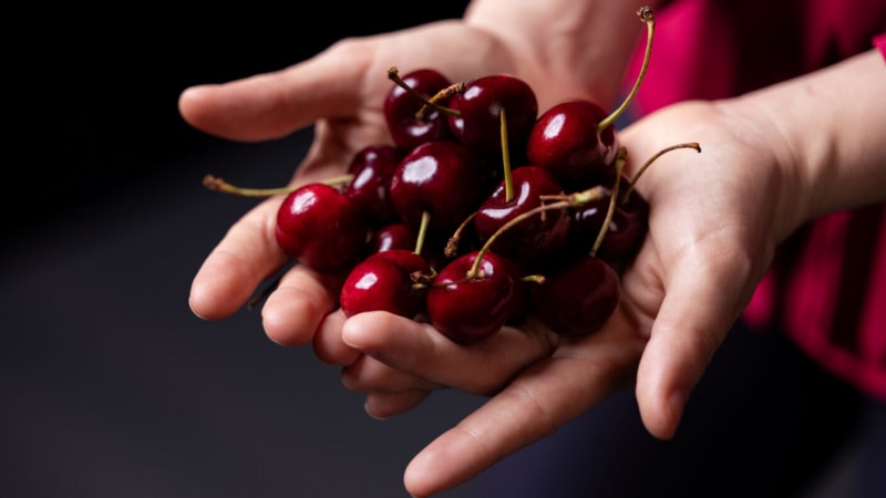 Dark Cherry Compounds Slow Aggressive Breast Cancer in Study - Image 2