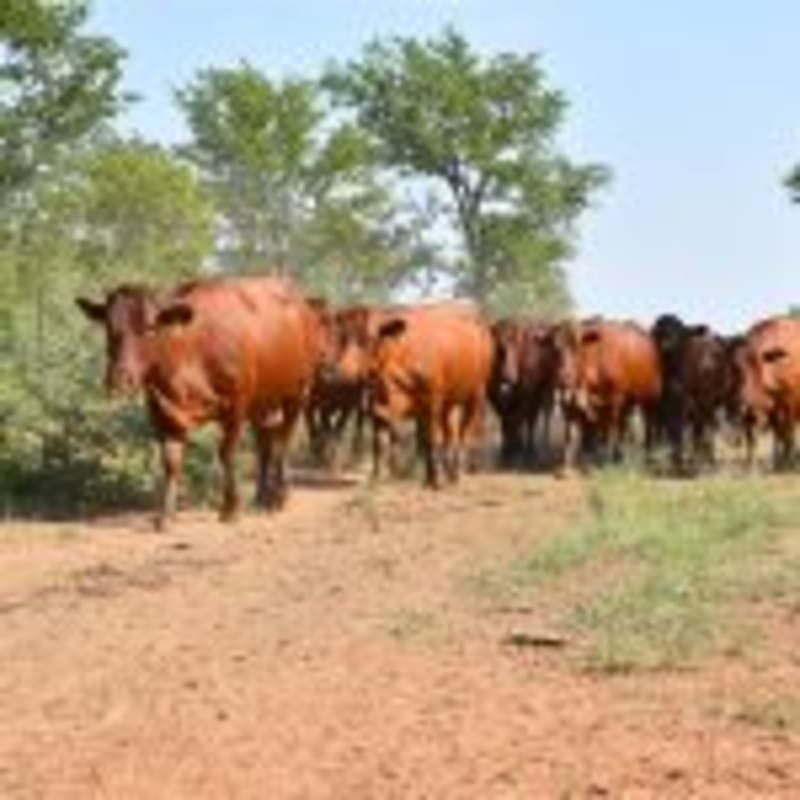Colorado County Saves 64,000 Acres in 30 Years - Image 5