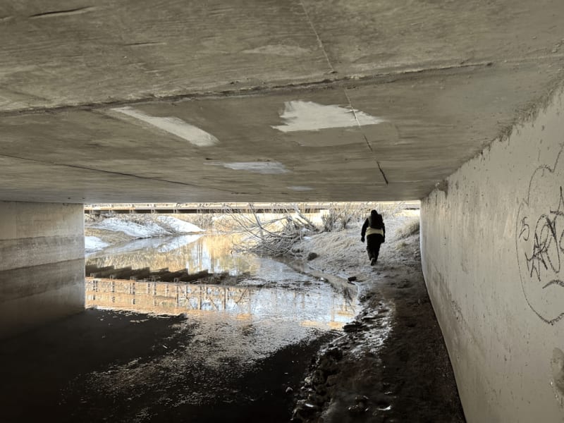 Tahoe Volunteers Double to Help Count Homeless Population