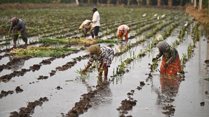 Farmers using modern automated irrigation technology in agricultural fields with digital monitoring systems in Andhra Pradesh, India