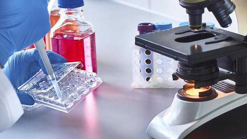 Medical researchers examining genetic data on computer screens in modern Indian cancer research laboratory