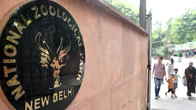 Delhi Zoo Gets $48M Makeover With 200+ New Animal Homes