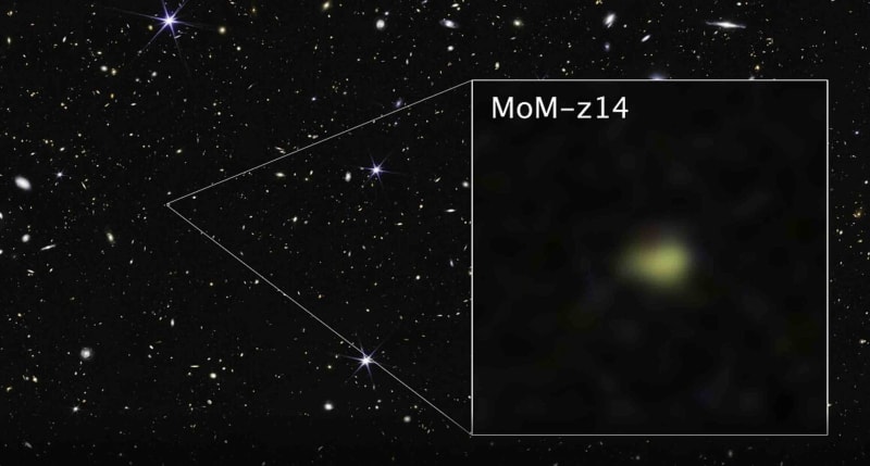 James Webb Space Telescope image showing ancient galaxy MoM-z14 as red dot against black space
