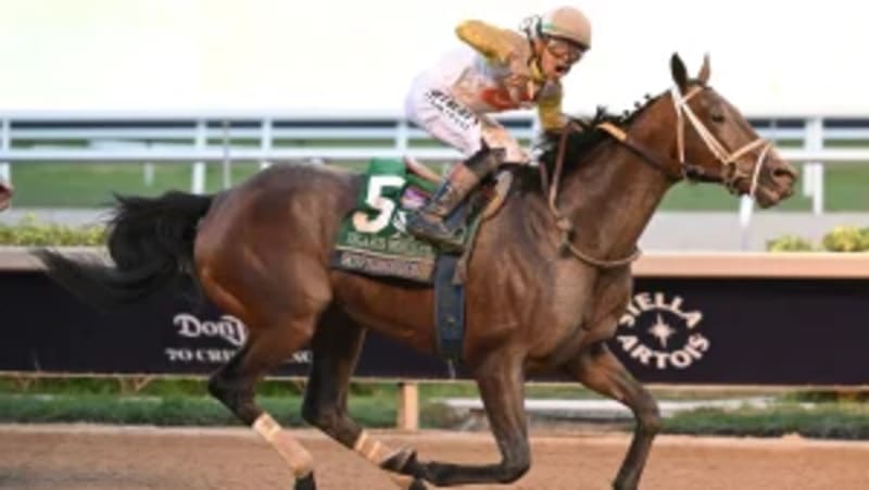 7-Year-Old Horse Wins $3M Race on His Fourth Try - Image 2