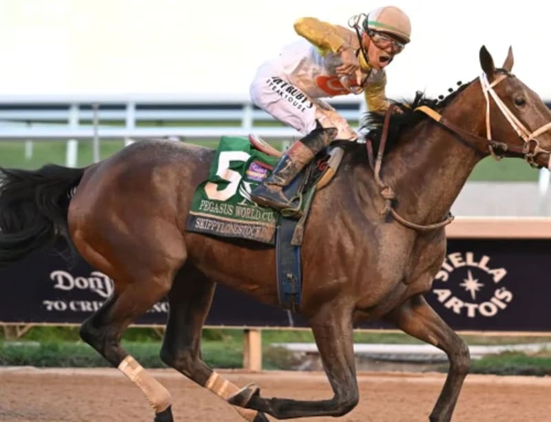 7-Year-Old Horse Wins $3M Race on His Fourth Try - Image 4