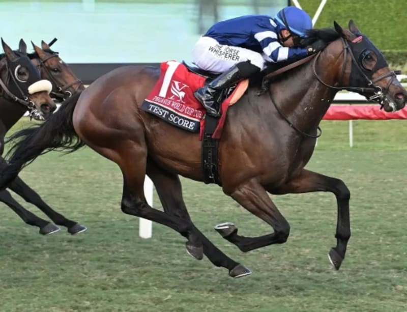 7-Year-Old Horse Wins $3M Race on His Fourth Try - Image 5