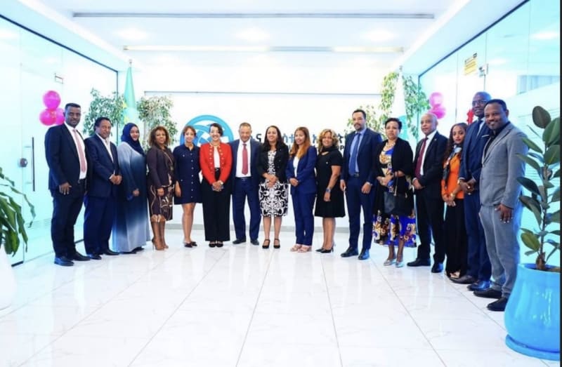 Ethiopian Diaspora Leader Bridges Healthcare Investment Gap - Image 4