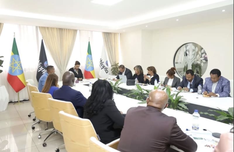 Ethiopian Diaspora Leader Bridges Healthcare Investment Gap - Image 5