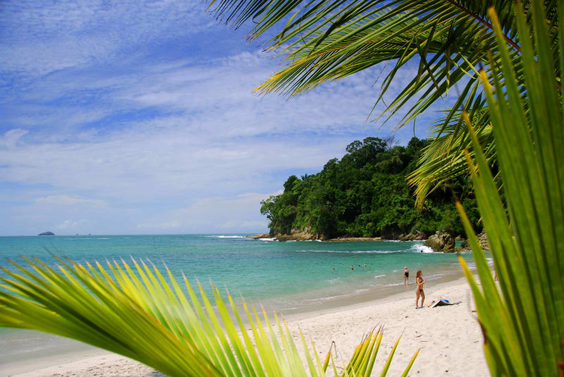 Manuel Antonio Residents Rally to Protect Costa Rica's Beloved Natural Paradise