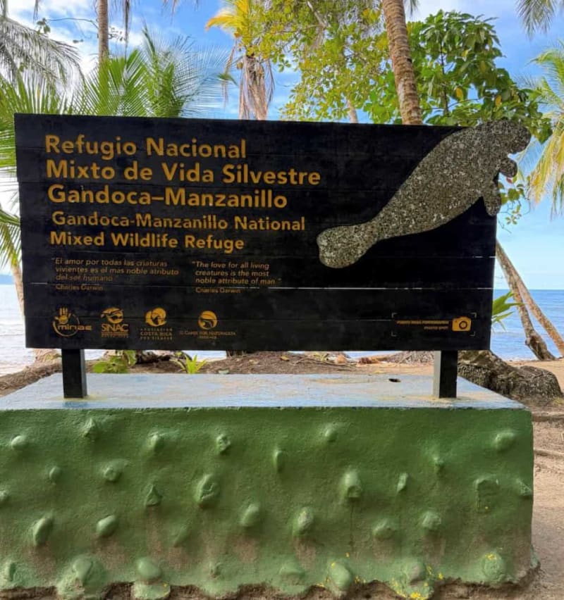 Costa Rica Pushes for Independent Forest Protection Review