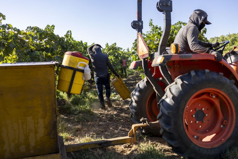 San Diego skyline and harbor showing bustling economy and growing job market opportunities