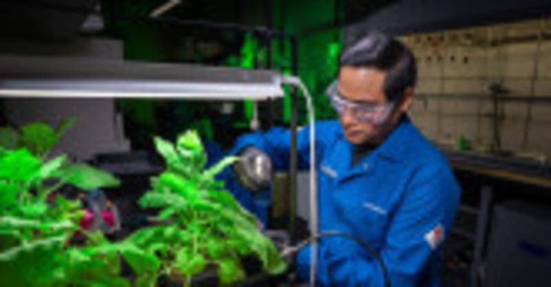 Revolutionary AI Breakthrough Brings Hope to Cervical Cancer Patients Worldwide - Image 5