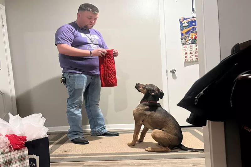 Fort Collins Firefighter Saves Dog From Icy Pond - Image 3
