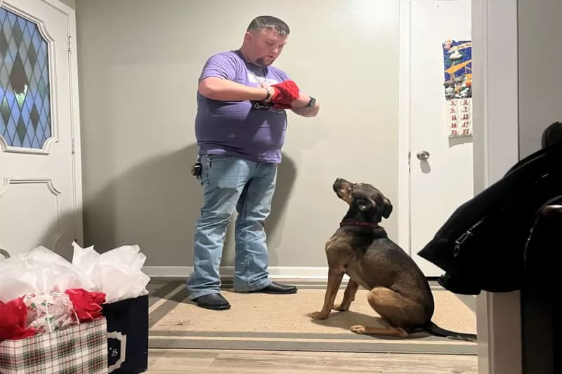Fort Collins Firefighter Saves Dog From Icy Pond - Image 2