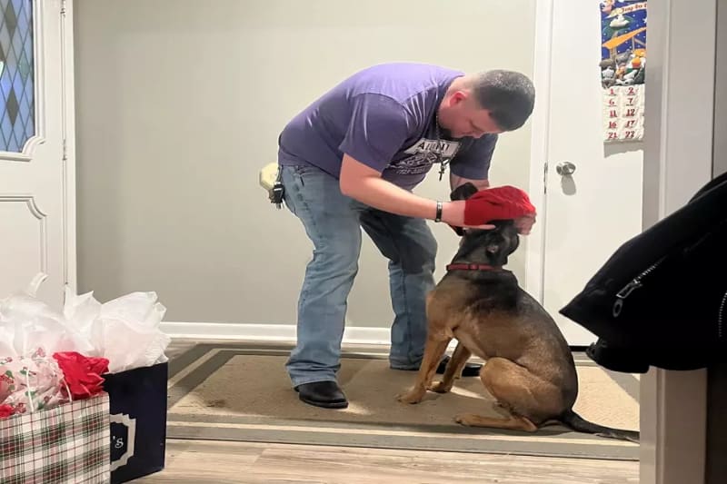 Fort Collins Firefighter Saves Dog From Icy Pond - Image 4