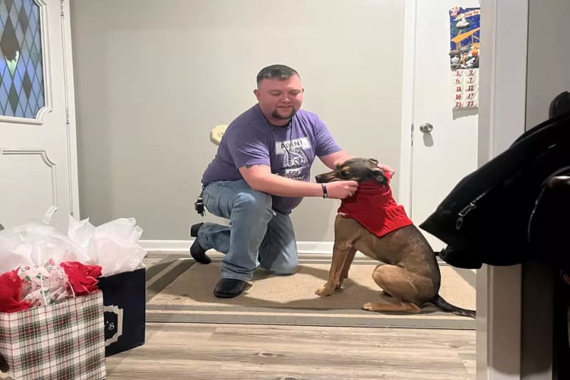 Fort Collins Firefighter Saves Dog From Icy Pond - Image 5