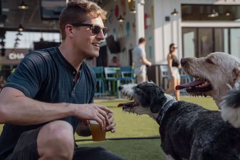 St. Cloud Region Gets New Brand to Unite 250 Businesses - Image 5