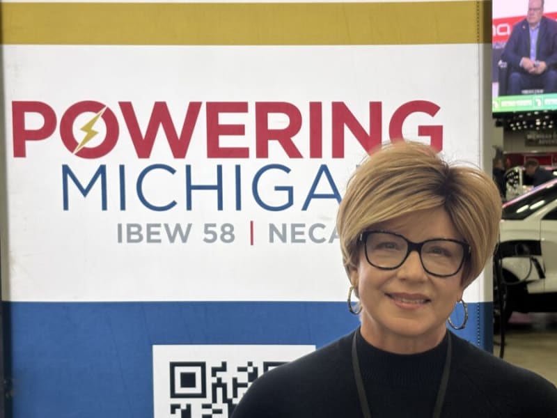 EV Owners Love Their Cars Despite Sales Slowdown - Image 2