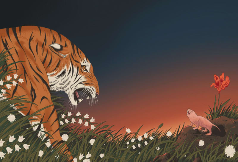 Jellyfish That Lives Forever Reveals Longevity Secrets