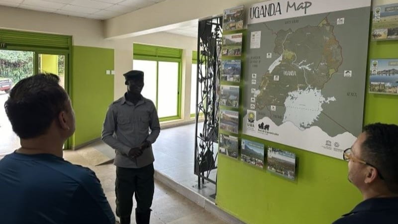 6 Countries Team Up to Save Jaguars, Rhinos, and Gorillas - Image 3