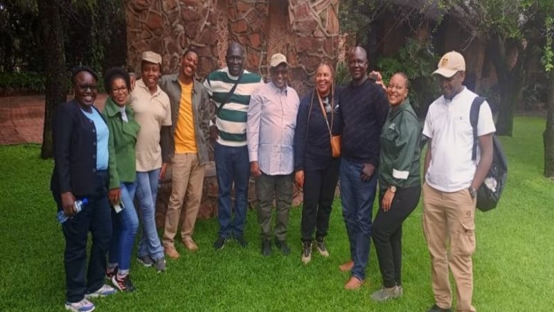 6 Countries Team Up to Save Jaguars, Rhinos, and Gorillas - Image 2