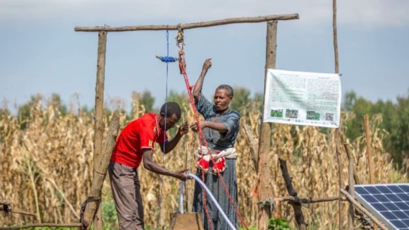 Ethiopian Farmers Now Lead Their Own Irrigation Revolution