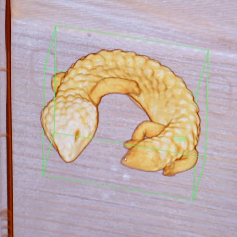 South Africa Makes 33 Rhinos Radioactive to Stop Poachers - Image 4