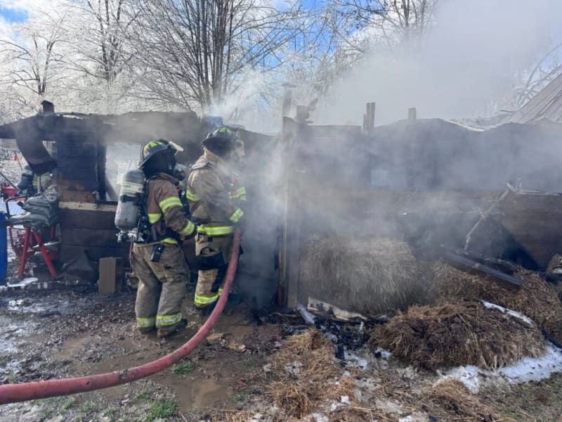 Tennessee Firefighters Save Kitten from House Fire - Image 5