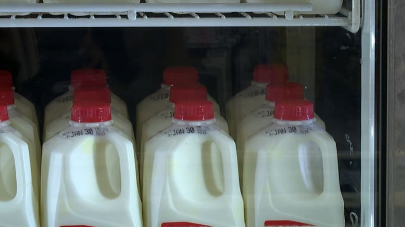 Indiana Hoosiers Win First Ever National Championship - Image 3