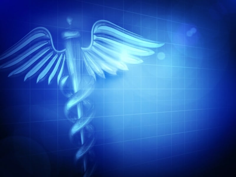 NC Unveils $290M Plan to Restore Helene-Hit Forests - Image 5