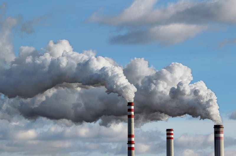 Dog's Cancer Trial Could Lead to Kids' Immunotherapy - Image 4