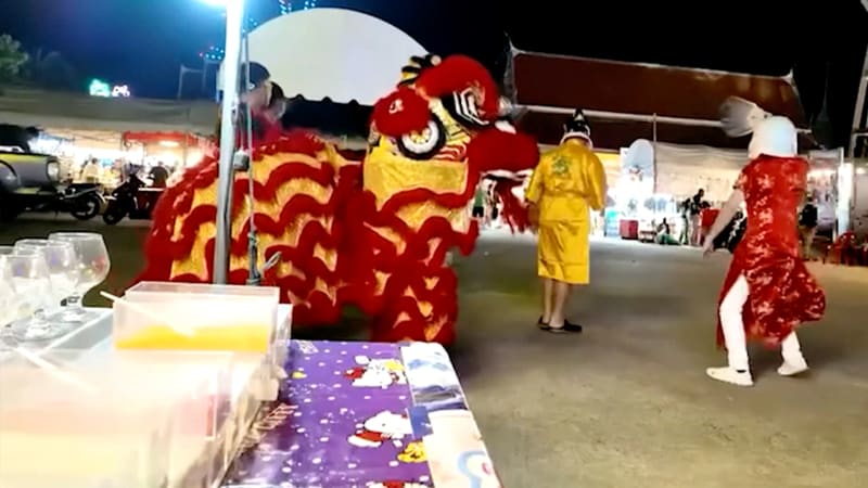 Thai Police in Lion Costume Catch Wanted Burglar at Fair