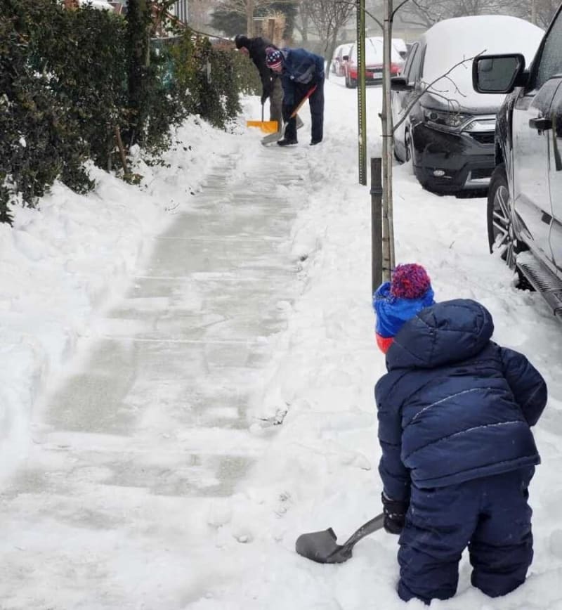 Alexandria's Snow Buddies Clear Paths for 65 Neighbors - Image 2