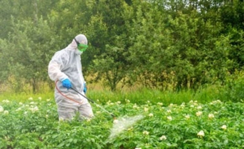 UK's Smart 5G Could Cut 25M Tons of Carbon Emissions - Image 5