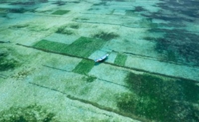 Australian Engineers Turn CO2 Into Fertilizer Using Solar - Image 5