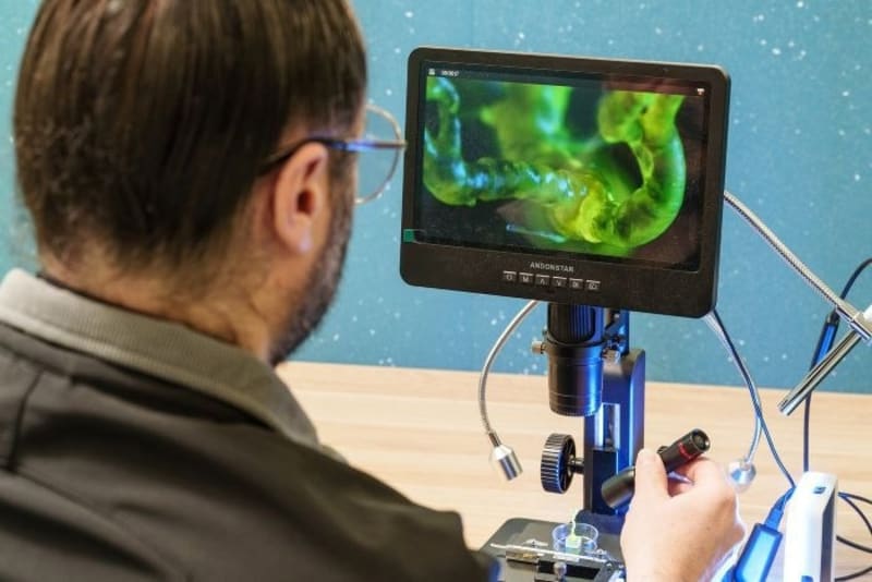 Adelaide Researchers Break Through on Ultra-Fast 6G Tech