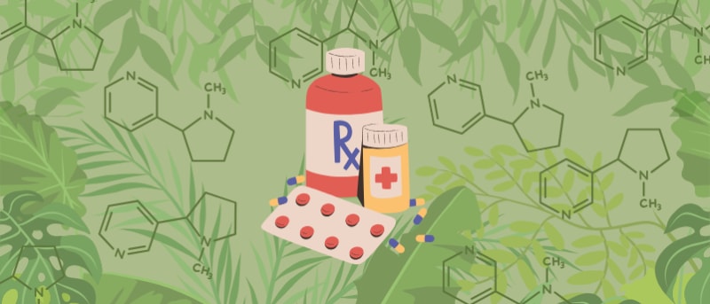 Scientists Unlock Plant Enzyme That Could Transform Medicine