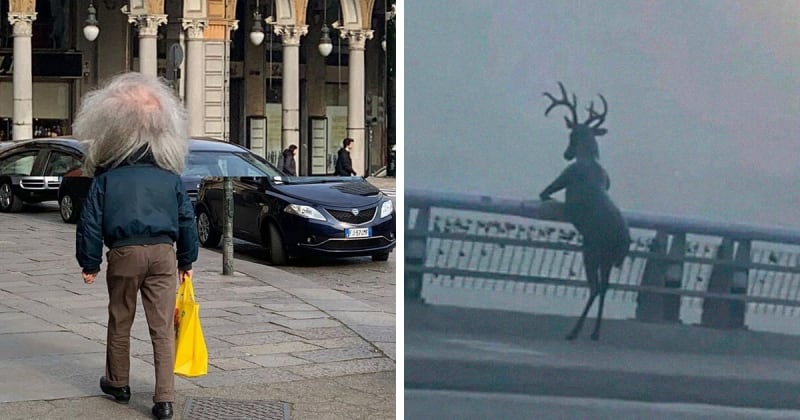 Inside the Wild World of @junkmanbaby: Where Internet Weirdness Meets Creativity