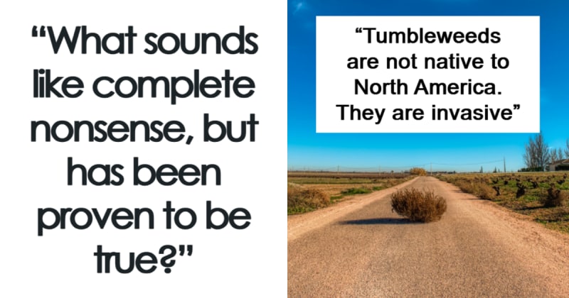 8 Mind-Blowing Facts That Sound Completely Impossible (But Are Totally True)