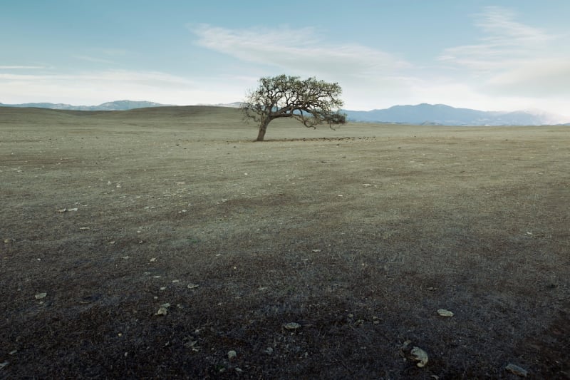 Scientists Unite on 10 Climate Insights That Guide Solutions