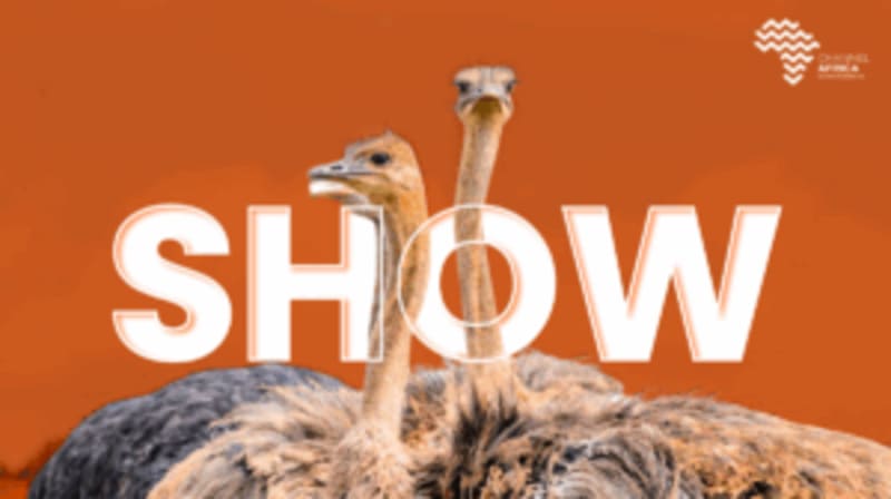 Africa Forum Tackles 10M Youth Jobs Gap with New Plan - Image 2