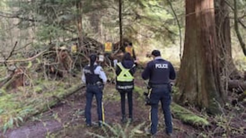 Burned Bear Cub Valkyrie Now Bandage-Free After 39 Days - Image 5