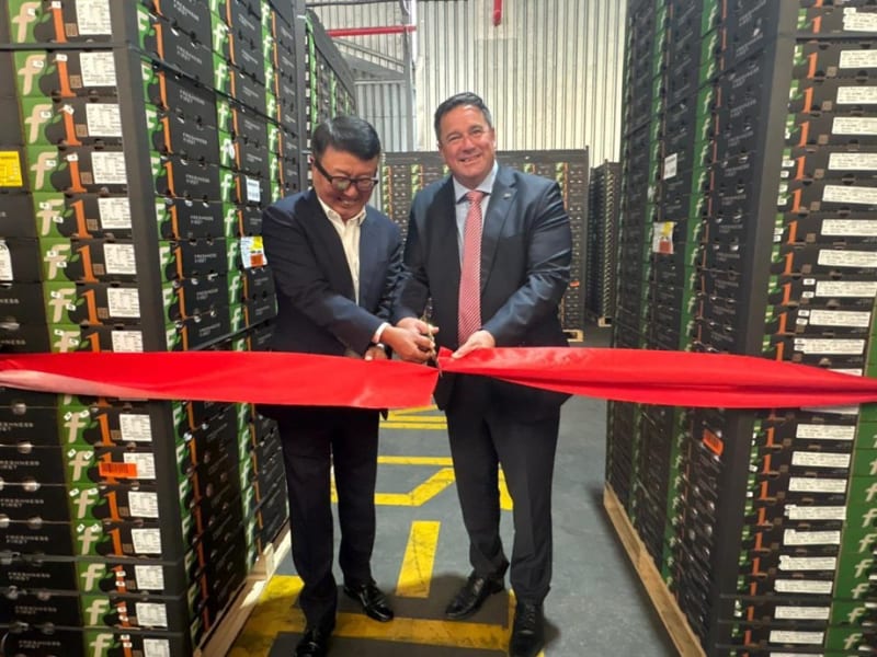 South Africa Ships First Stone Fruit to China Tariff-Free