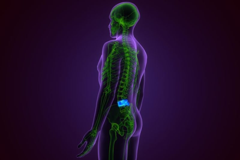 Lab-Grown Spinal Cords Help Test Paralysis Treatment - Image 2