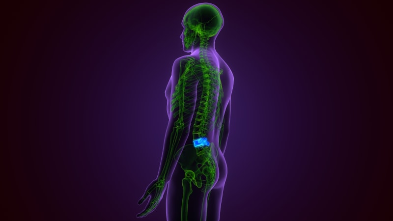 Lab-Grown Spinal Cords Help Test Paralysis Treatment