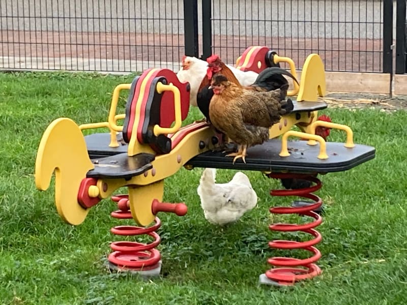 Netherlands Tackles PFAS Crisis With Legal Framework Intact