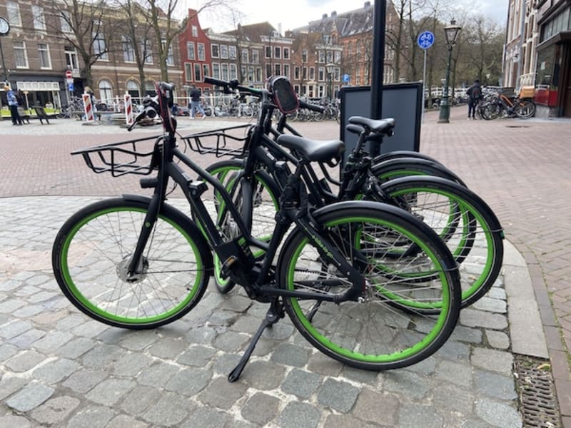 E-Bikes Help Seniors Stay Active Despite Safety Risks