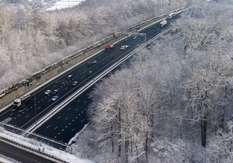 Dutch MPs Block Highway Expansion to Save 100s of Trees